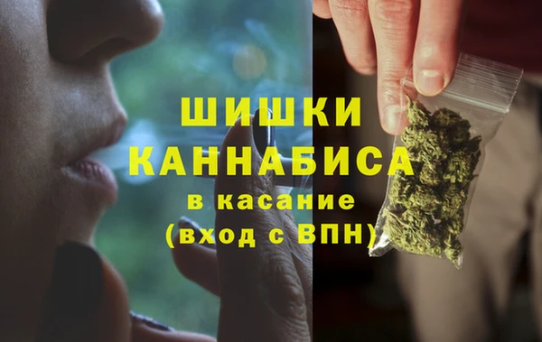 прущие грибы Армянск